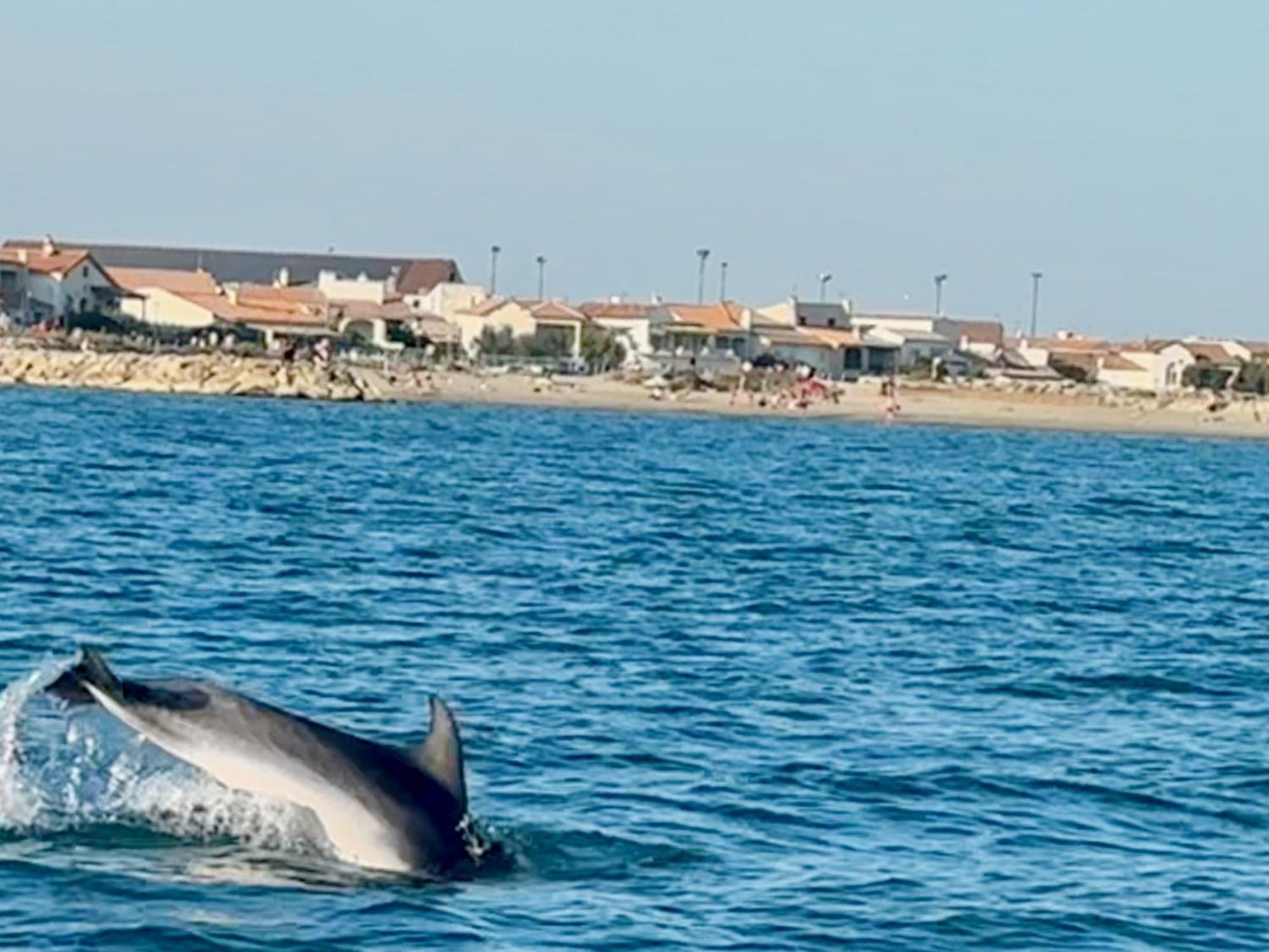 Mas Du Couvin, Maison D'Hotes En Camargue Saintes-Maries-de-la-Mer Ngoại thất bức ảnh