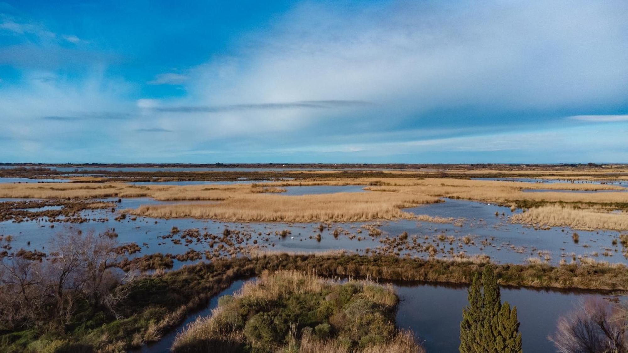 Mas Du Couvin, Maison D'Hotes En Camargue Saintes-Maries-de-la-Mer Ngoại thất bức ảnh