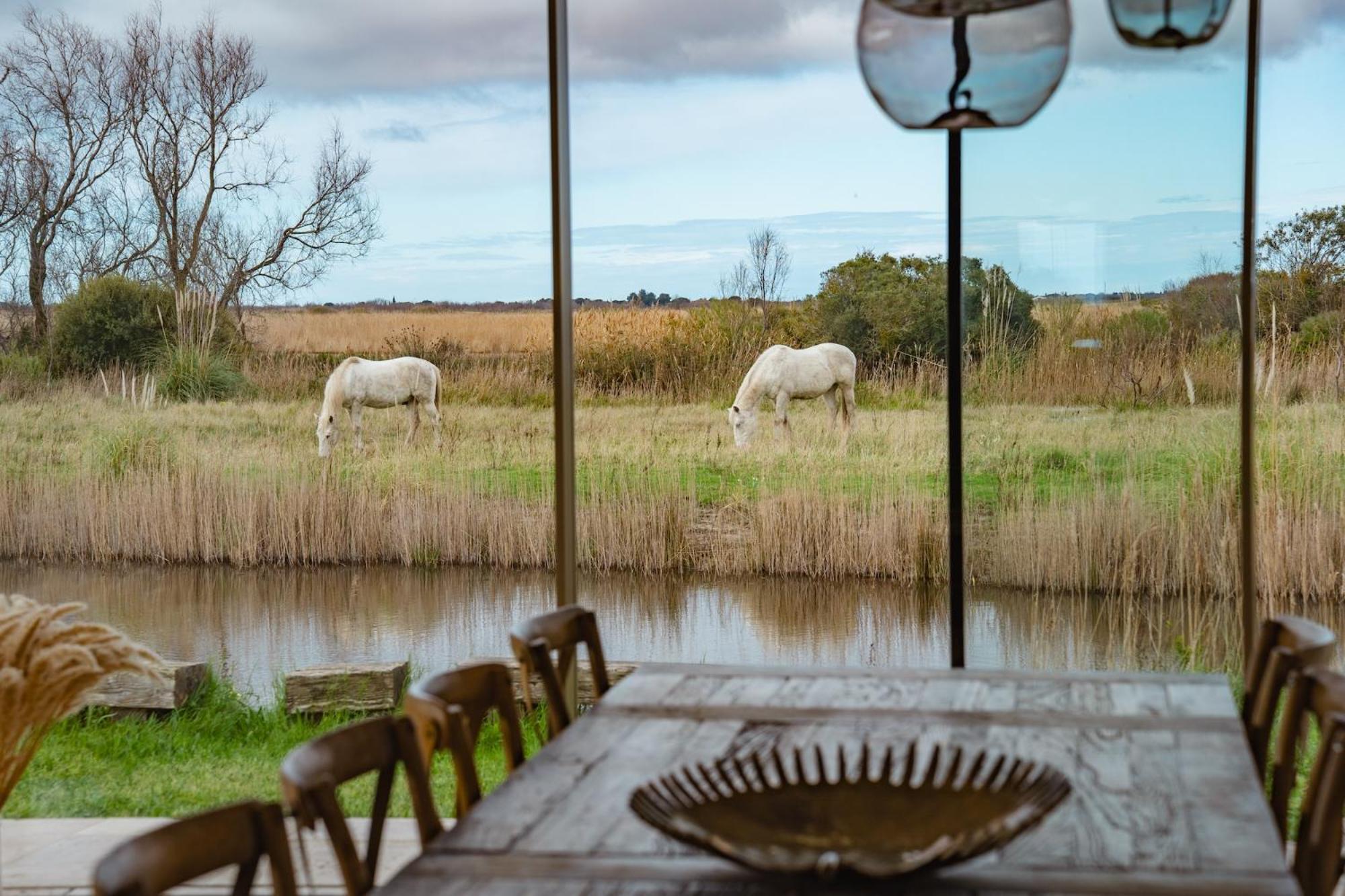 Mas Du Couvin, Maison D'Hotes En Camargue Saintes-Maries-de-la-Mer Ngoại thất bức ảnh